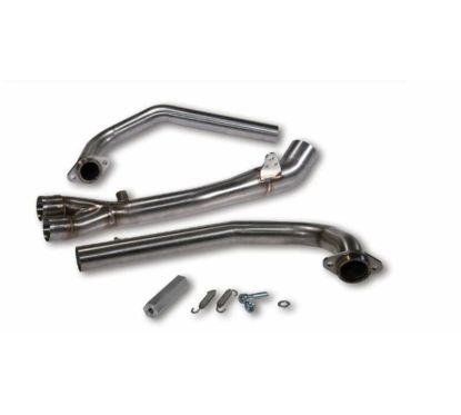 Collecteur MALOSSI Wild Lion - Inox Carbon