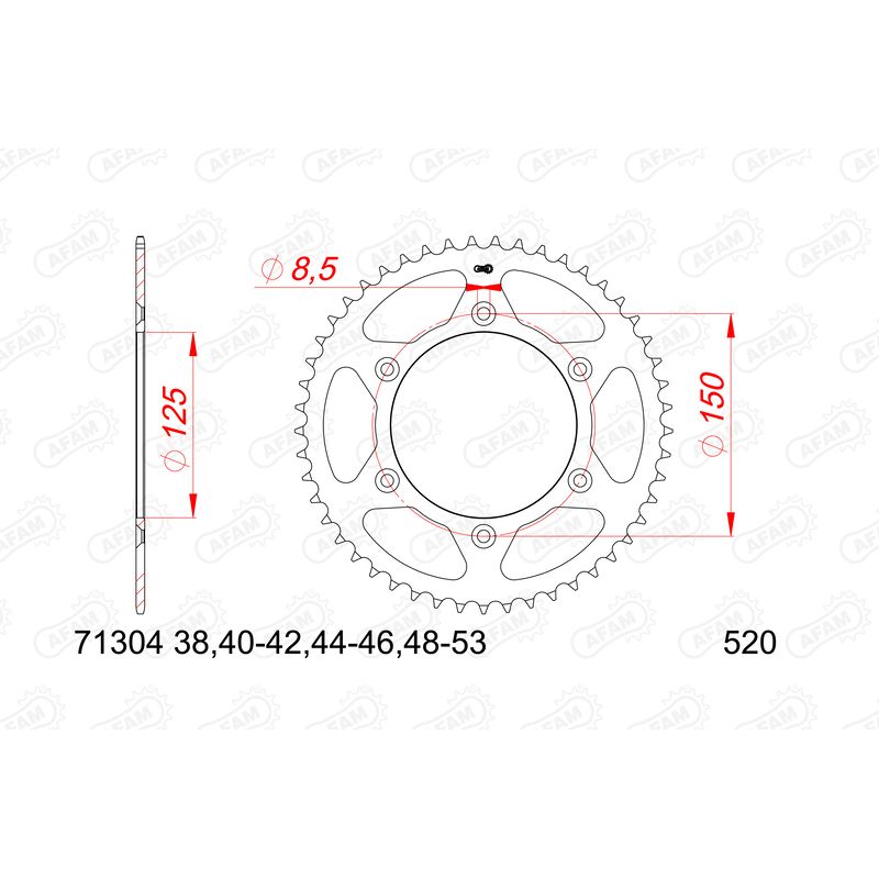 Pignon AFAM acier anti-bruit - 520