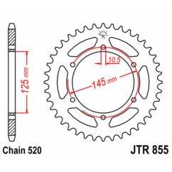Couronne JT SPROCKETS Acier Standard - 520