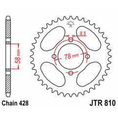 Couronne JT SPROCKETS Acier Standard - 428