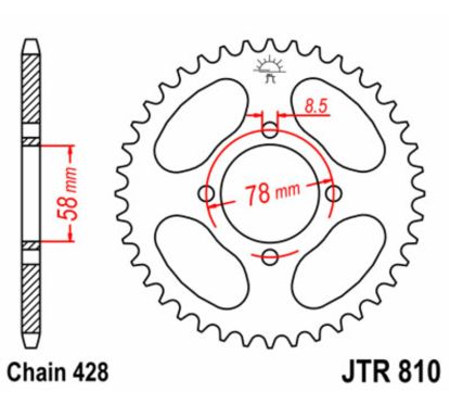 Couronne JT SPROCKETS Acier Standard - 428