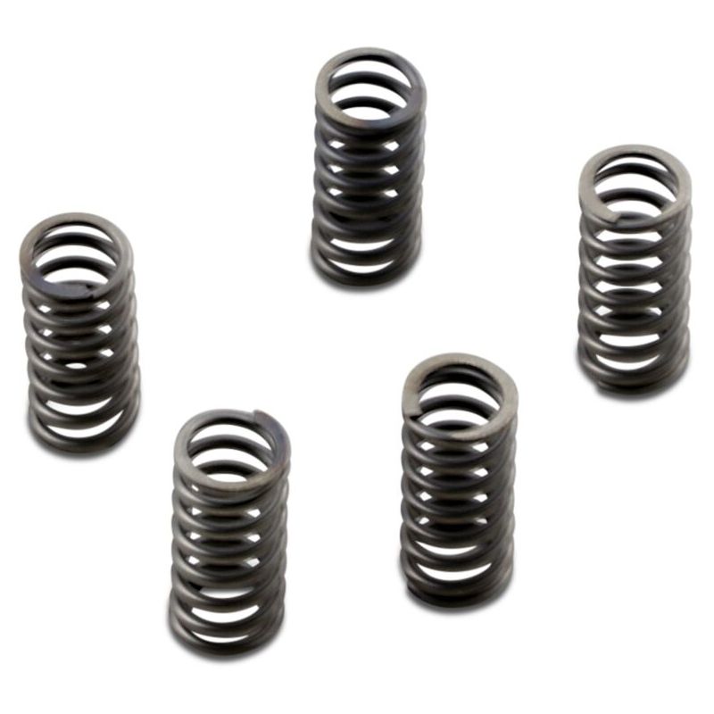 CLUTCH SPRING SET CSK