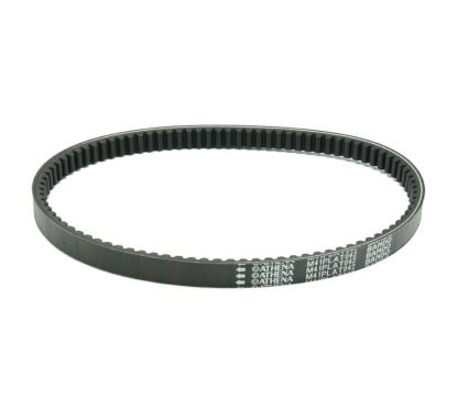 Courroies d'entraînement Platinum